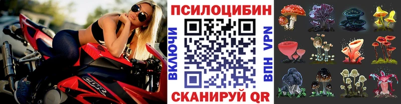 Псилоцибиновые грибы Psilocybine cubensis Кубинка
